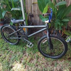 GT BMX Bike 