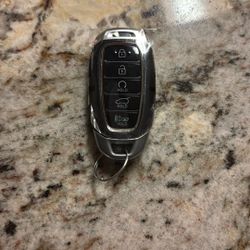 Palisade Key Fob 