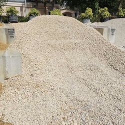 White Rover Rock - Yard