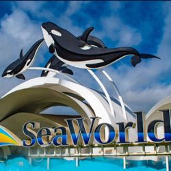 Sea World Tix
