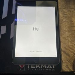 iPad Mini 