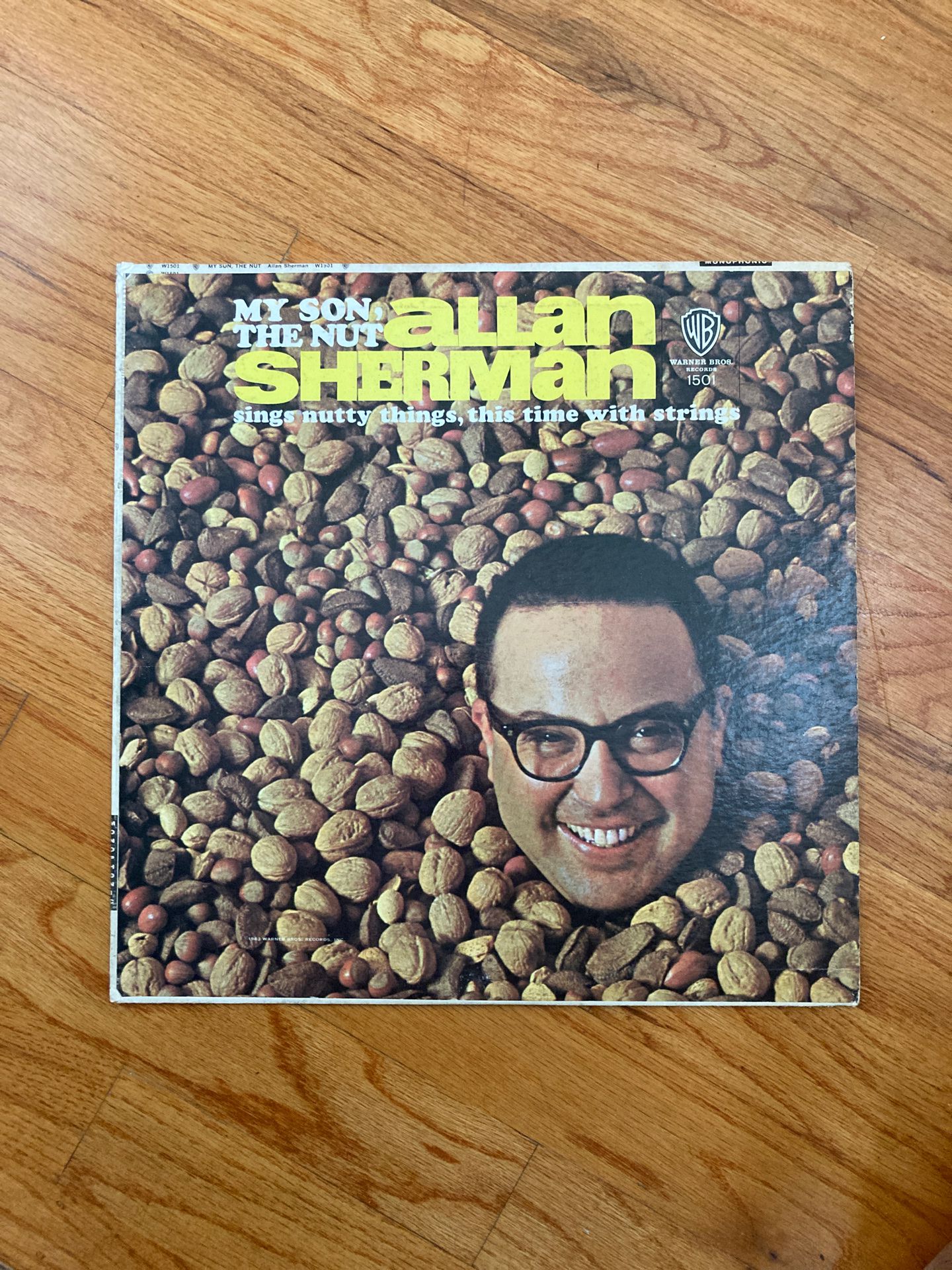 My Son, the nut allan sherman sings nutty thing