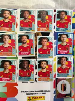 Panini World Cup Stickers