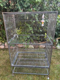 Jaulas  jaula cage