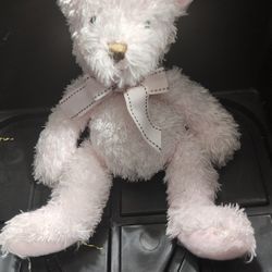 Pink Teddy Bear