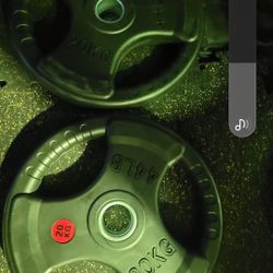 44lbs Olympic Weights