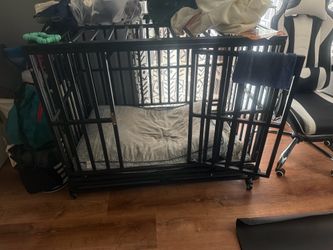 Dog crate for a large dog