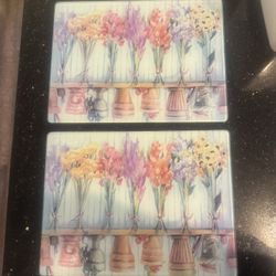 2 Glass Cutting Boards 
