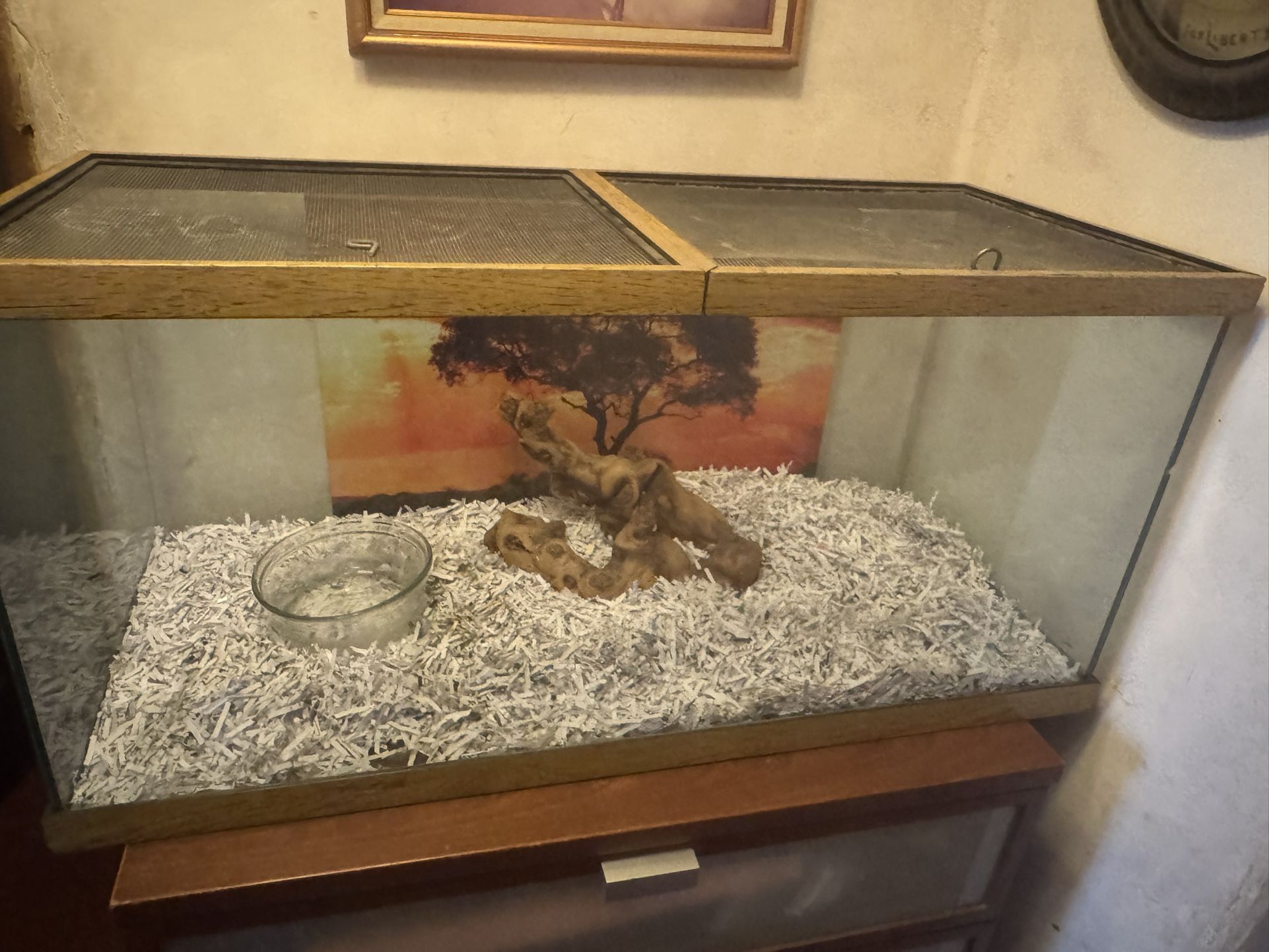 Reptile tank approximately 45 gallons