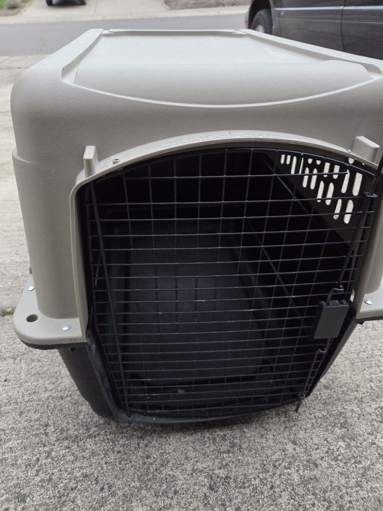 Dog, Pet, Animal Kennel