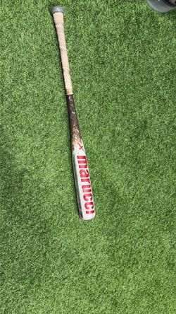 Maruchi cat X 31 inch