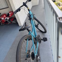 Trek Bike 
