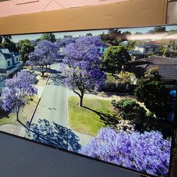 Sony 65” 4K HDR Smart tv