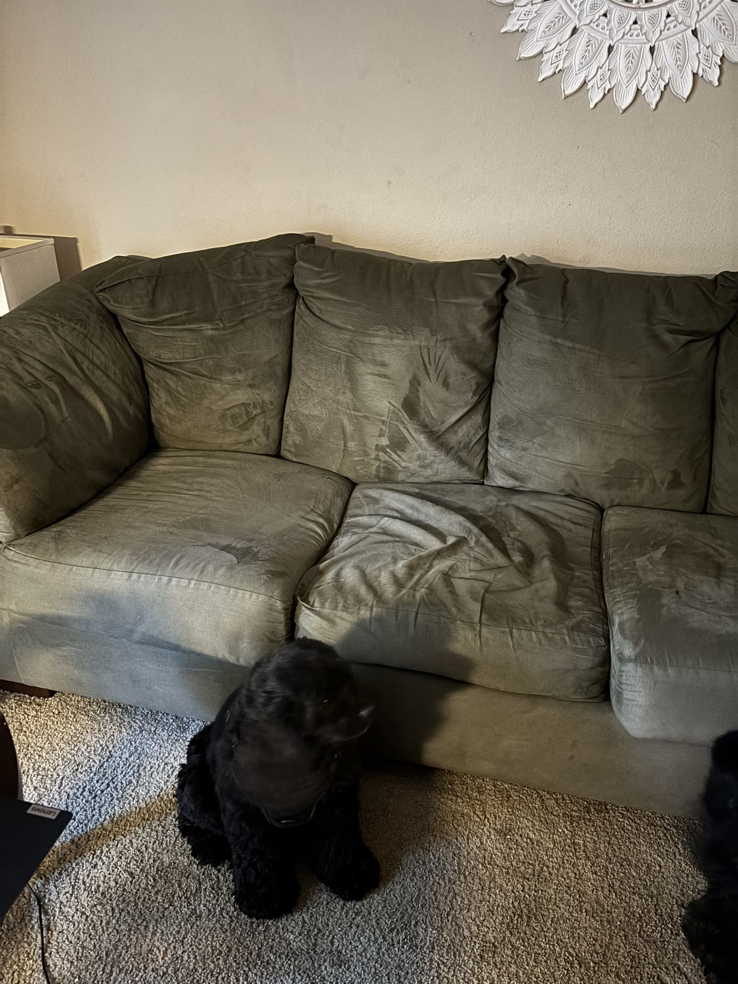 Sleeper Sofa & Love Seat W Coffee Table