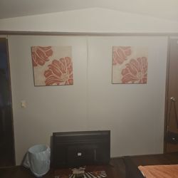 Two very nice pictures.Just changing the decor in my house