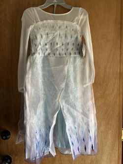 Disneyland Theme Park Queen Elsa costume/dress