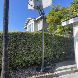 Basketball hoop - FREE