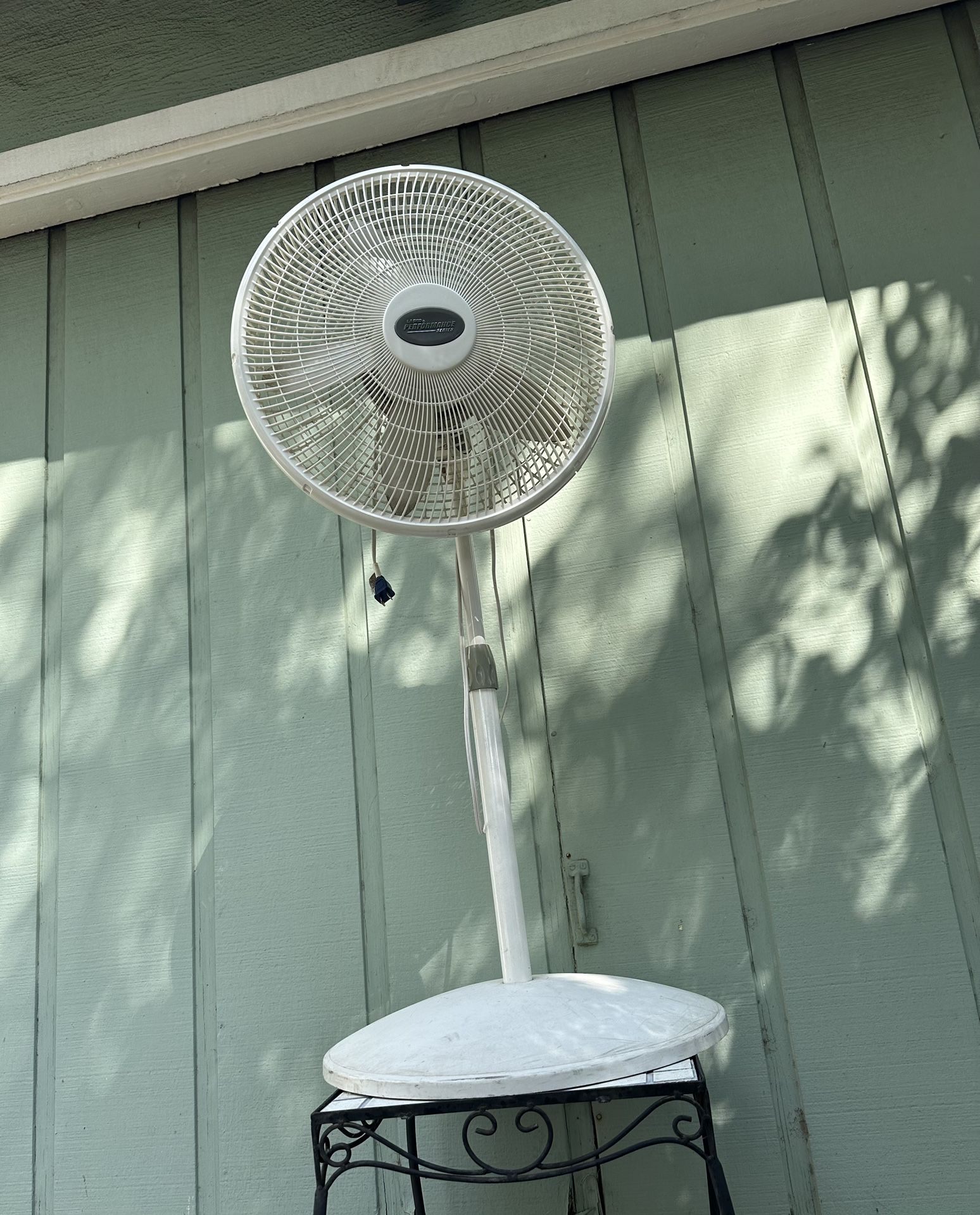 Fan