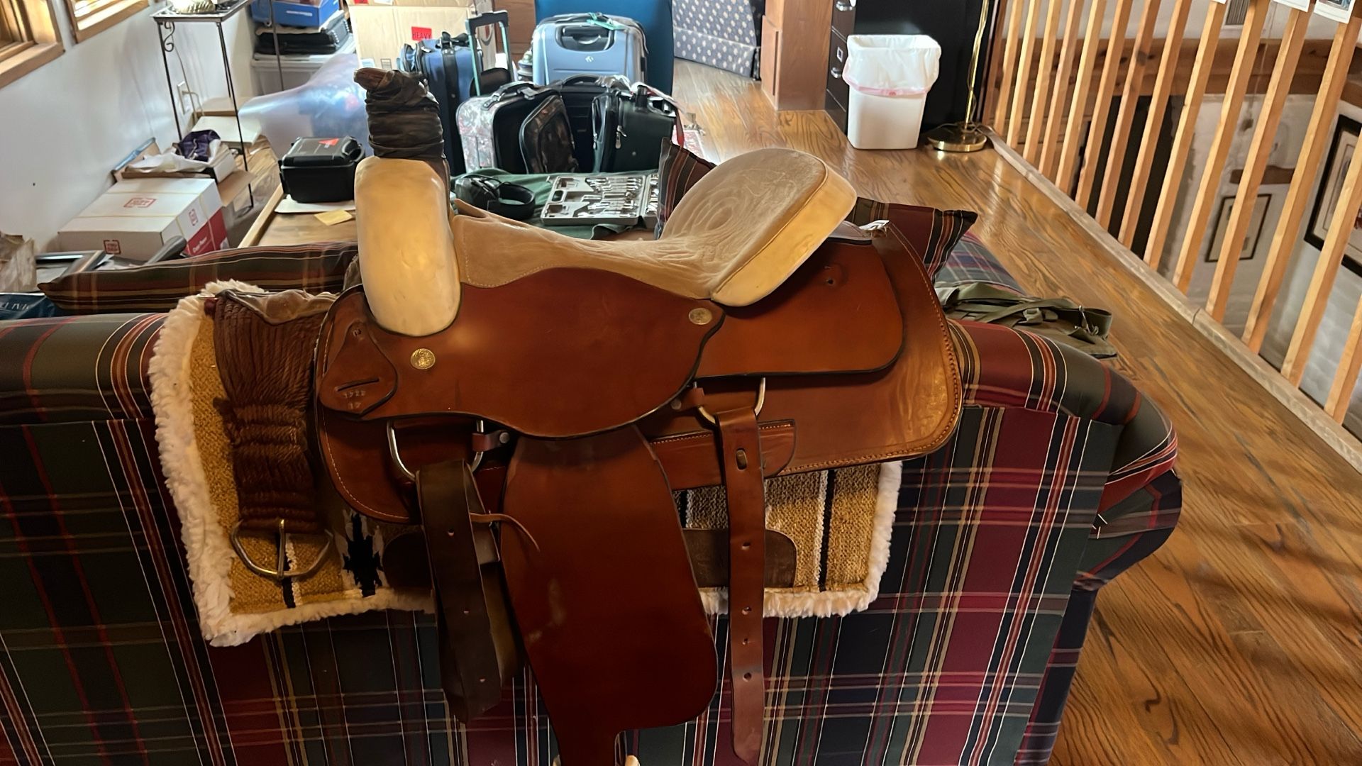 Saddle