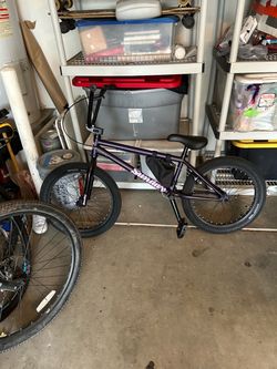 Sunday bmx