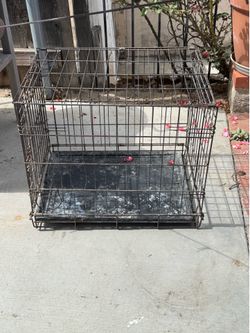 Jaula de pollos  A Cage