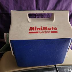Mini Cooler Ice Chest 