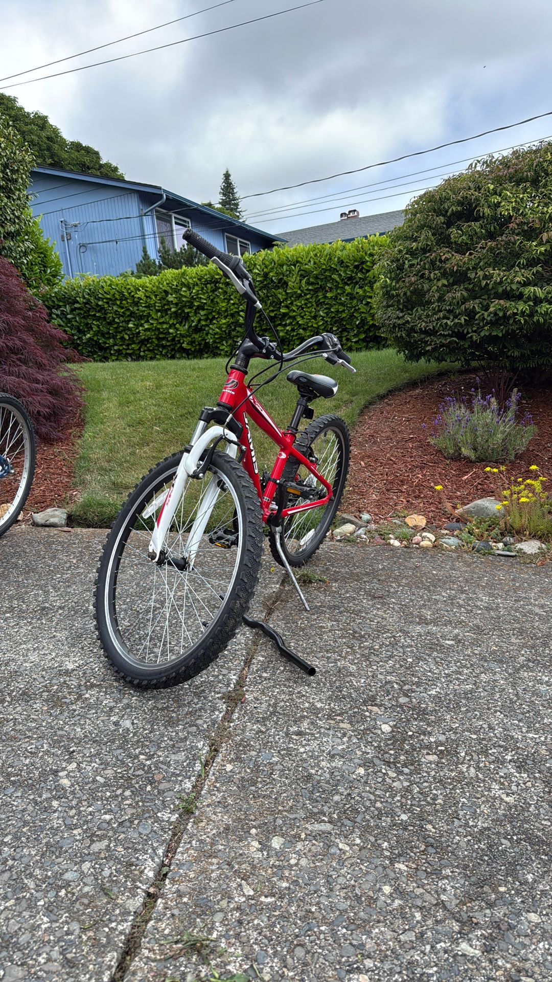 Jamis Kids bike