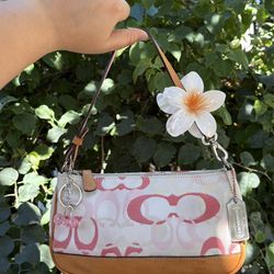 Vintage Coach Bag