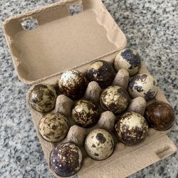 Coturnix Quail Eggs