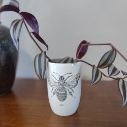 Tradescantia Plant - 2 Strongly Rooted Starters