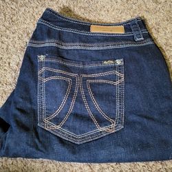 Melissa McCarthy 7 Jeans