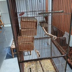 Bird Cage