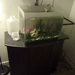 10 Gallon Fish tank