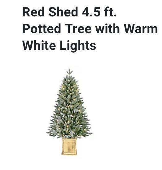 4.5 Ft Tree In Wooden Box