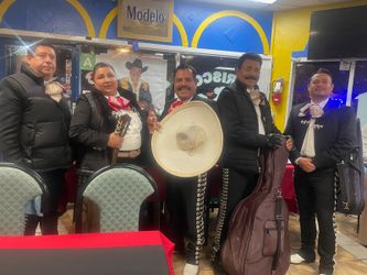 Trompeta Arpa de mariachi