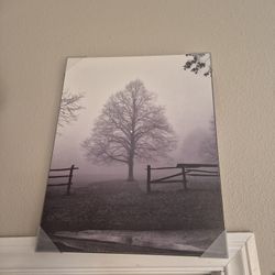 Picture Morning Texture" by Harold Silverman 