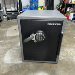 Sentry Safe Fireproof Safe 