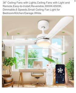 Ceiling Fan With Light