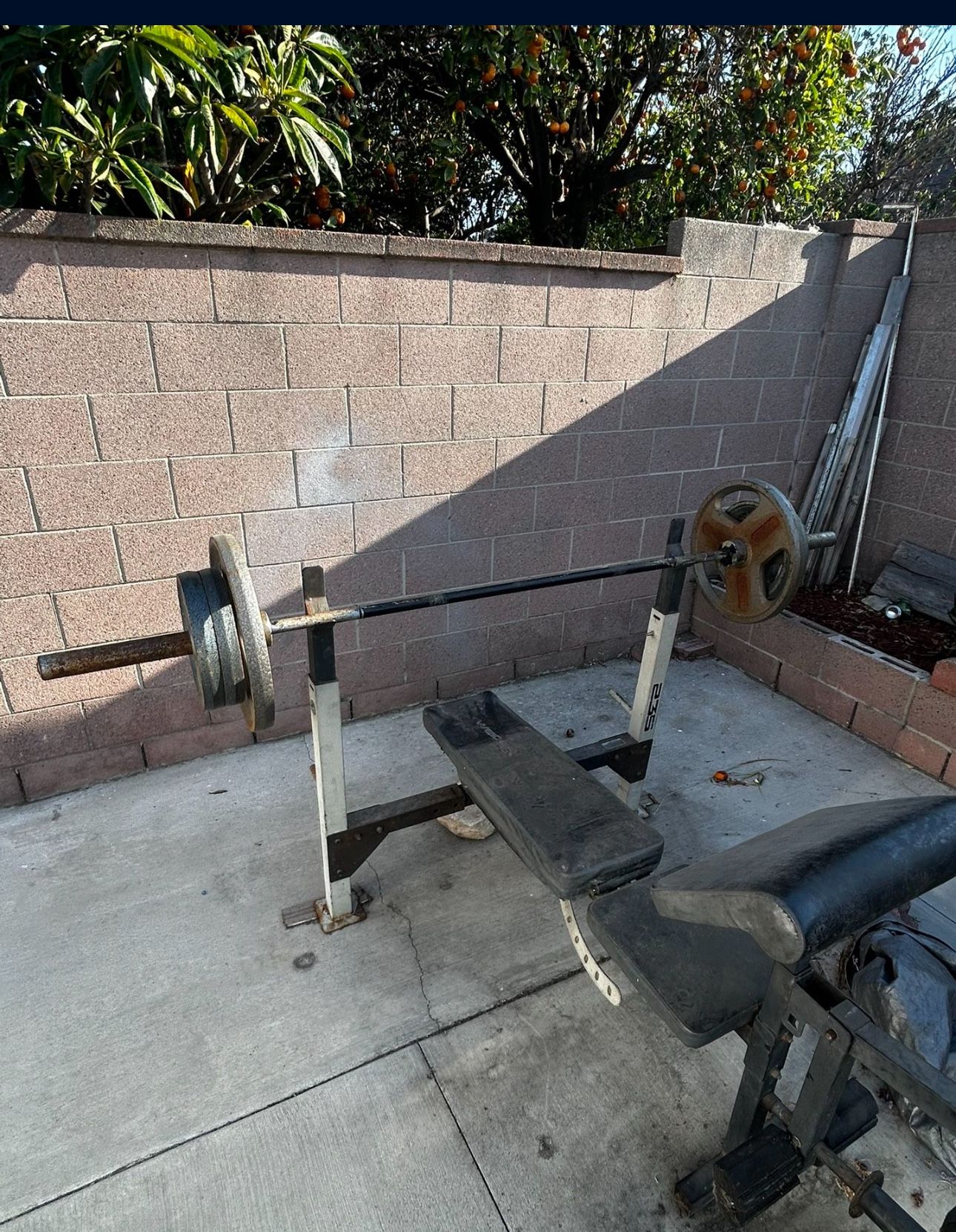 Weights+Bar+Bench W Preacher Curl All For 100
