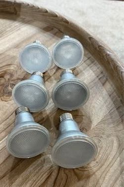 Six PAR-style LED light bulbs 120V