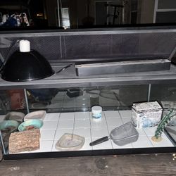 Reptile Tank With Accessories 
