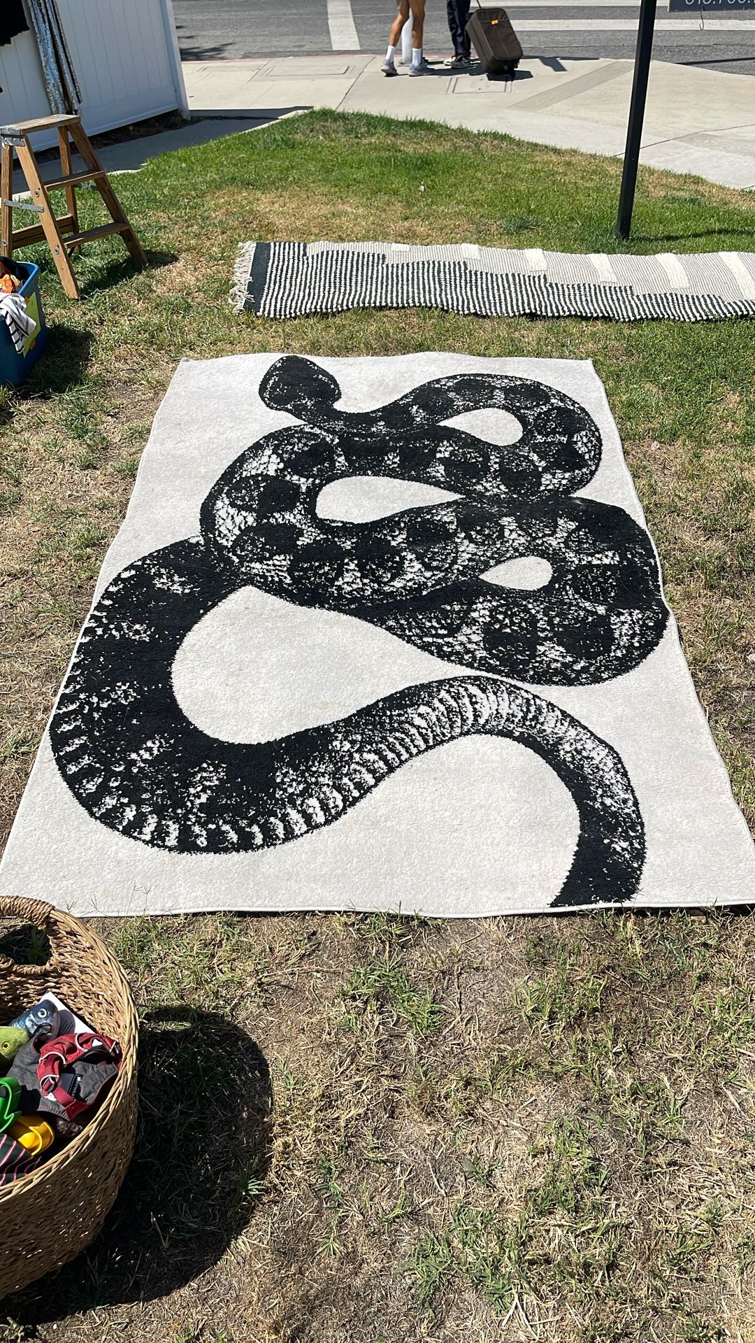 Snake Rug