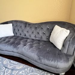 Gray Light Velvet Coach With Crystal 