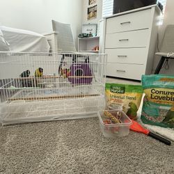 Bird Cage And Supplies 