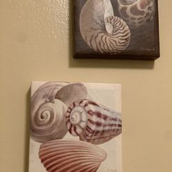 Seashell canvas pictures 5 1/2 x 5 1/2