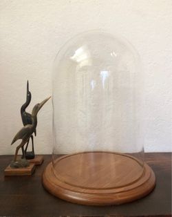 (2) Vintage Large Glass Dome Cloche Wood Base Display Terrarium