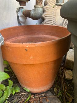 Plant pot