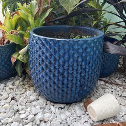 Ceramic Pot