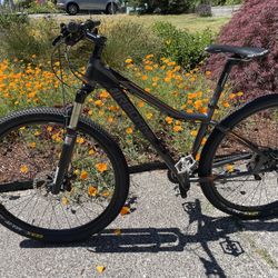 Airborne Seeker- 29 Hardtail 16” Frame