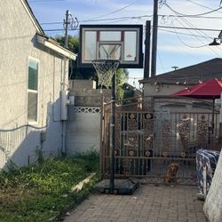 Lifetime Outdoor Basketball Court Rim